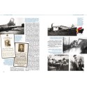 La Luftwaffe en France  1939-1945 - Tome 2