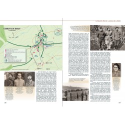 La ligne Maginot au combat