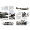 La Luftwaffe en France  1939-1945 - Tome 1
